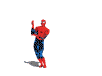 spidecerdo